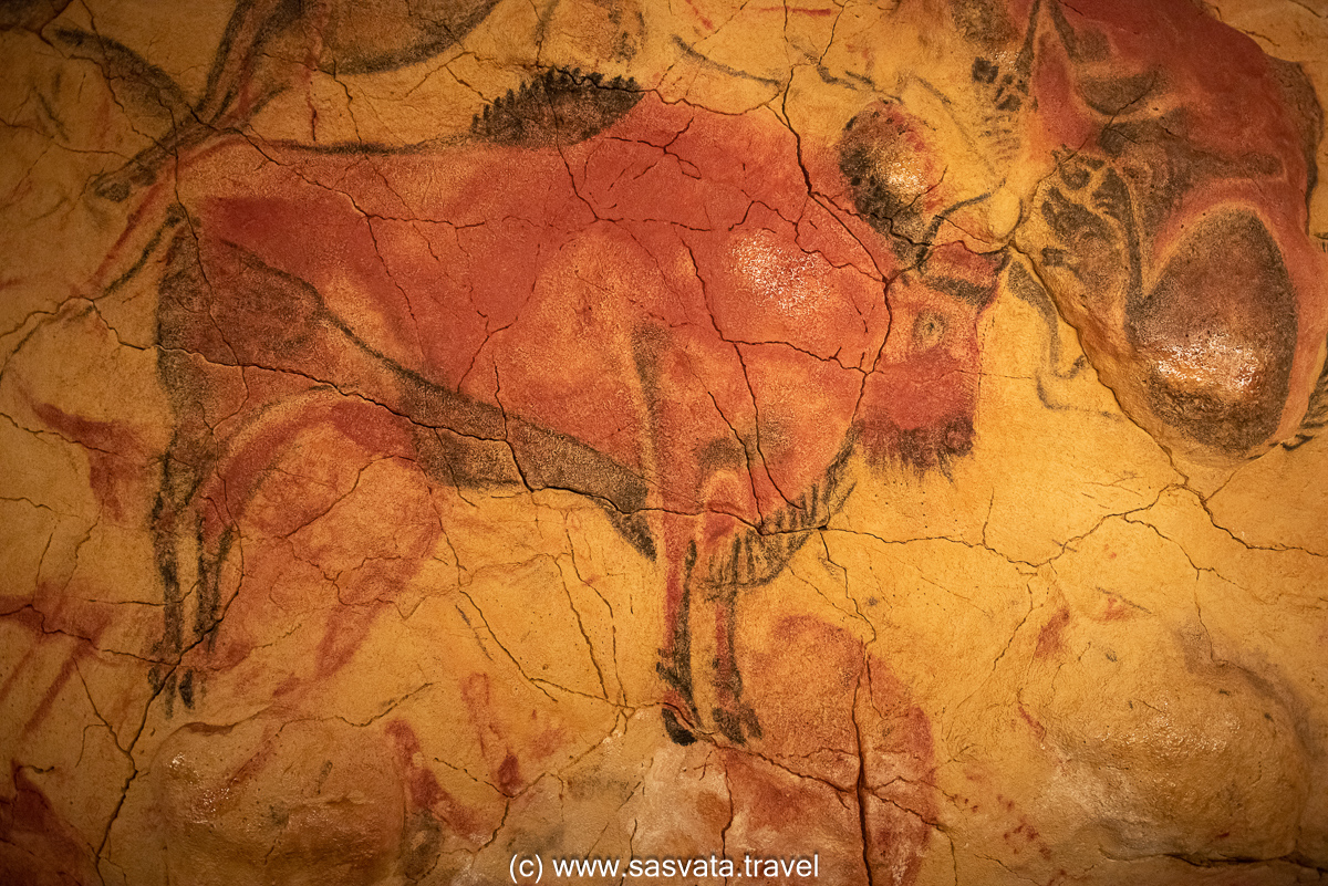 Northern Spain travel highlights: Altamira Cave