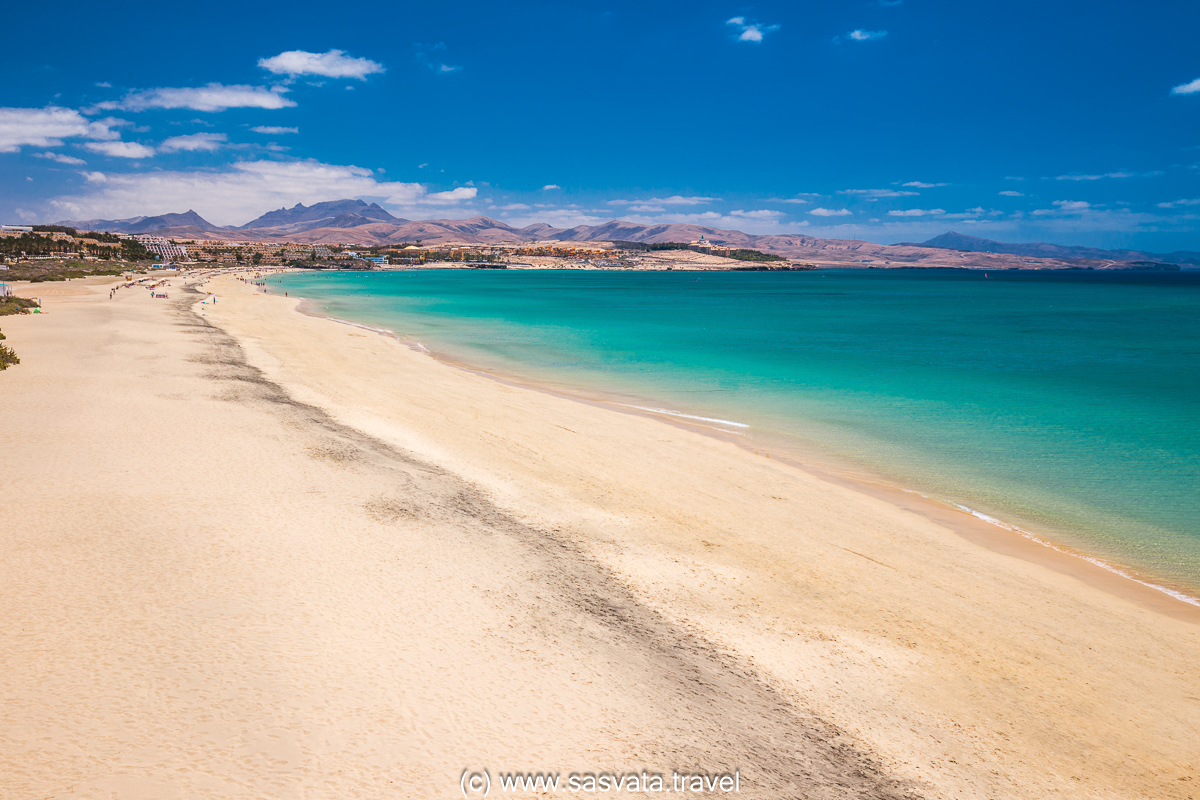 Playa De La Concha De Lobos