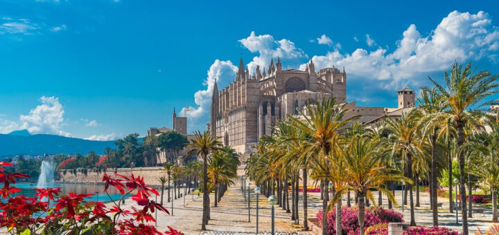 Dive Into The Most Popular Sights Of Mallorca