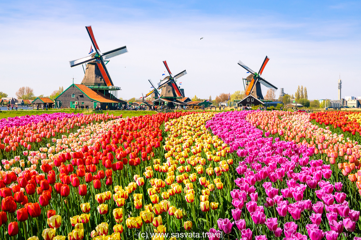 Best Day Trips Near Amsterdam: Zaanse Schans