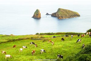 Graciosa Island main highlights