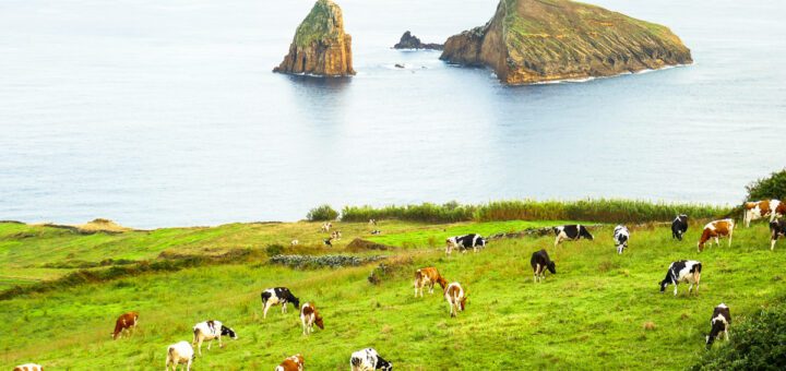 Graciosa Island main highlights