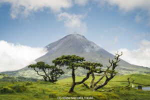 Pico Island main highlights