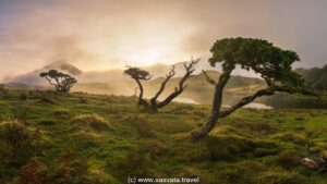 Azores Islands travel destination introduction