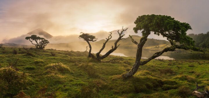 Azores Islands travel destination introduction