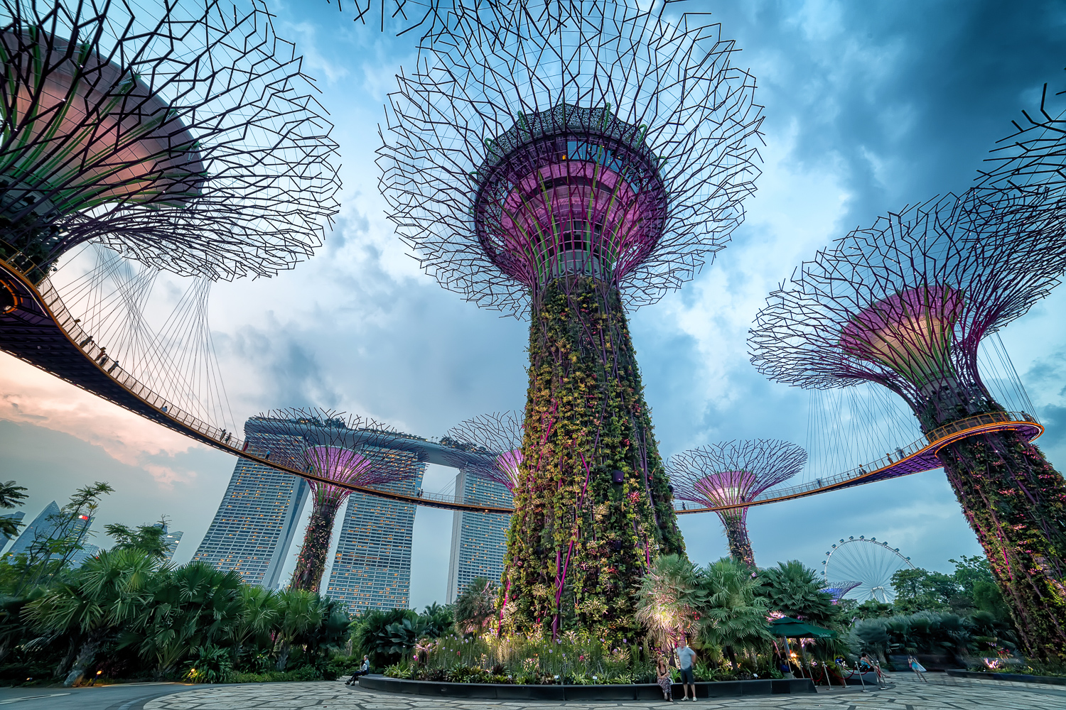Discover the ultimate highlights of Singapore: Gardens by the Bay