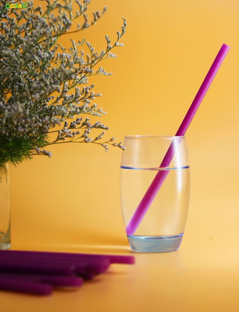 Plastic-free travel plastic straw
